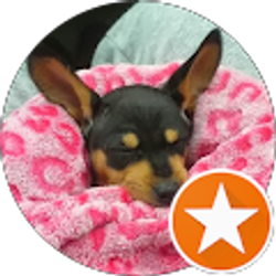 Profile photo of Amy Miller