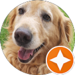 Profile photo of Simone Venancio