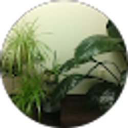 Profile photo of kat villani