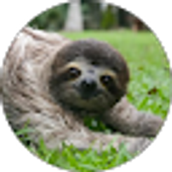 Profile photo of Linda Sanders