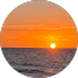 Profile photo of Ryan Knapp