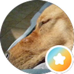 Profile photo of Chuck Brock