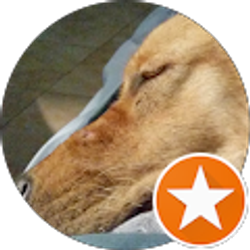 Profile photo of Chuck Brock