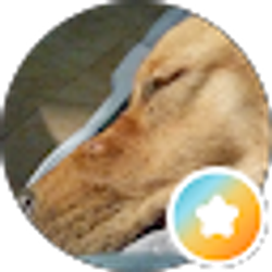 Profile photo of Chuck Brock