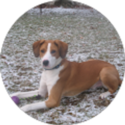 Profile photo of Jeffrey Hecht