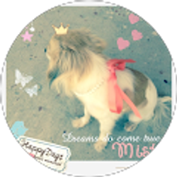 Profile photo of Misty Love