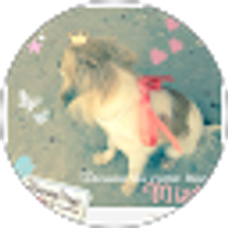 Profile photo of Misty Love