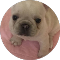 Profile photo of Rhonda Savage