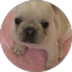 Profile photo of Rhonda Savage