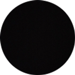 Profile photo of Holly Shipley