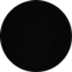 Profile photo of Holly Shipley