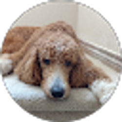 Profile photo of Kaysper