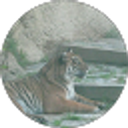 Profile photo of Quinctro R. Hill