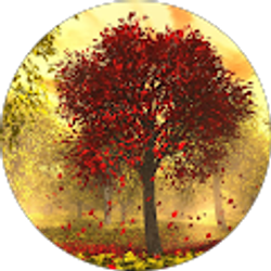 Profile photo of Esther Hsieh