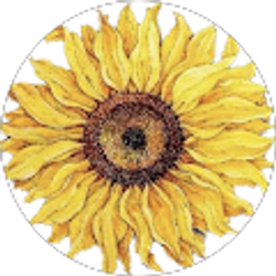 Profile photo of Jayne Turner