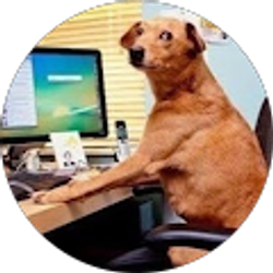 Profile photo of Dustin McDougald