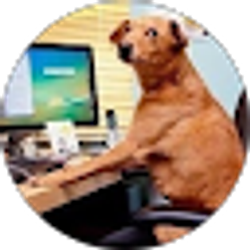 Profile photo of Dustin McDougald
