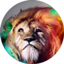 Profile photo of Parker O