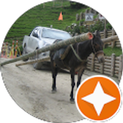 Profile photo of Chris Bowman