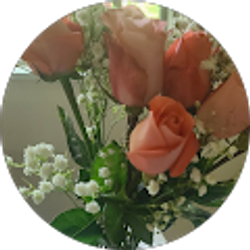 Profile photo of Eunyoung Valadez (프리다)