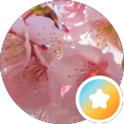 Profile photo of Rose C