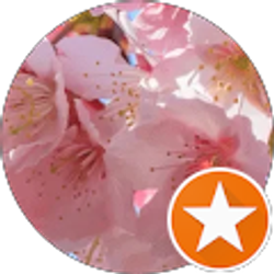 Profile photo of Nelly C