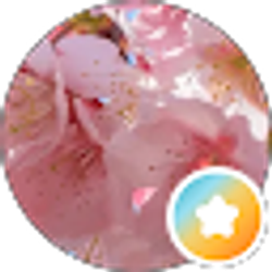 Profile photo of Rose C