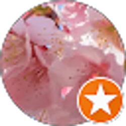 Profile photo of Rosa C