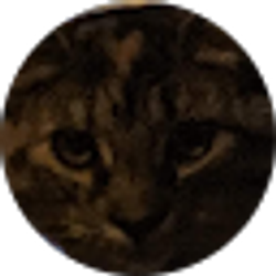 Profile photo of Jayson Hunter