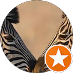 Profile photo of MAUREEN BOLING