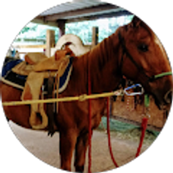 Profile photo of Deddy Unger