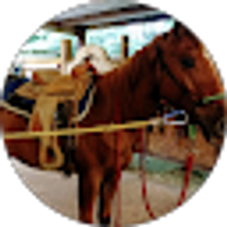 Profile photo of Deddy Unger