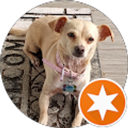 Profile photo of G&L