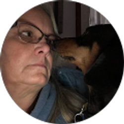 Profile photo of D Knauff