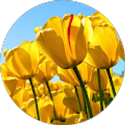 Profile photo of Adaiah Goring