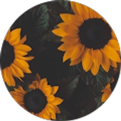 Profile photo of Crystal Evans