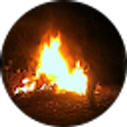 Profile photo of Ryan Price