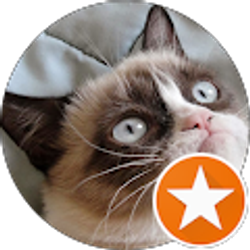 Profile photo of joseph quintos