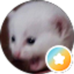 Profile photo of Shima