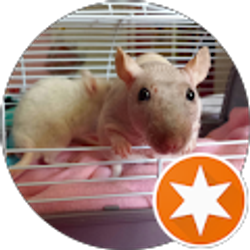 Profile photo of Fig Beebo