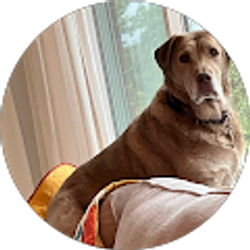 Profile photo of Jenny Georgiton