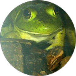 Profile photo of Denise