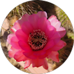 Profile photo of Emmy Waldron