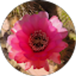 Profile photo of Emmy Waldron