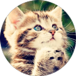 Profile photo of Paxton