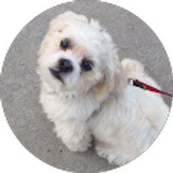 Profile photo of Hannah Chun