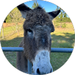 Profile photo of Chris Adams