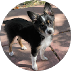 Profile photo of Delane McUne