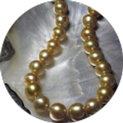 Profile photo of Ted Bleiweis