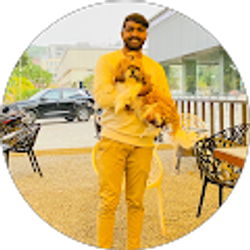 Profile photo of Naveen Raghuvaran